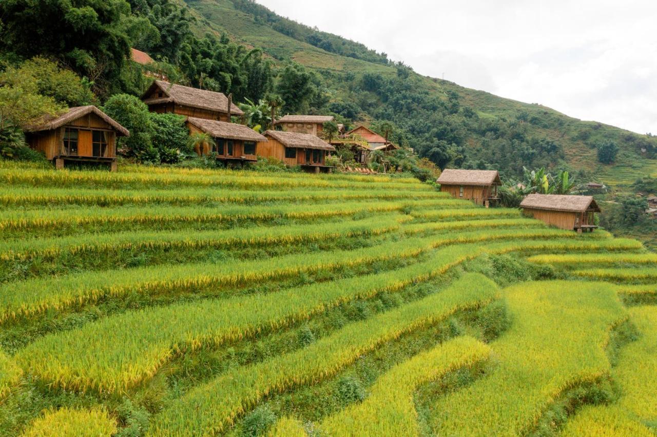Eco Palms House - Sapa Retreat Hotel Exterior foto
