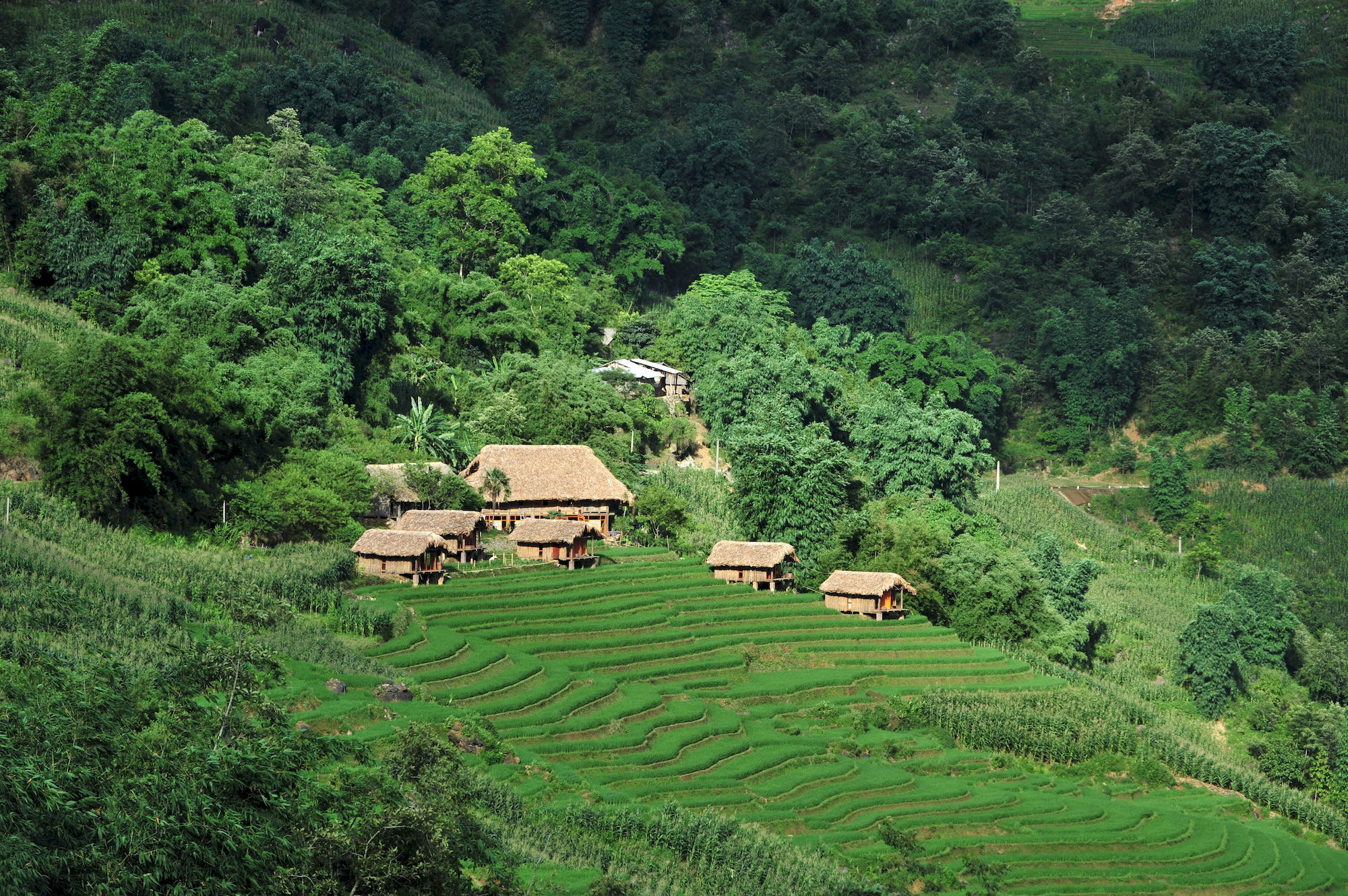 Eco Palms House - Sapa Retreat Hotel Exterior foto